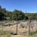 Moke Hill Community Garden Reboot